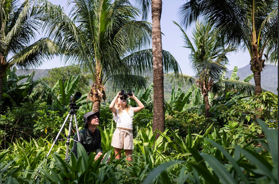 Những trải nghiệm mùa hè đầy ắp niềm vui dành cho trẻ em: Ngắm voọc chà vá chân nâu, trồng san hô hồi sinh biển cả, tham quan miền di sản với những dấu tích hào hùng